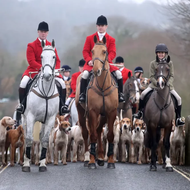 The Popularity of Fox Hunting in the United Kingdom